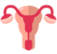 Endometrioz
